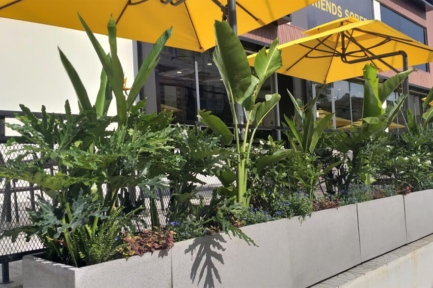 Thiết kế cảnh quan - Botanica Landscaping sẽ tạo ra kết quả phù hợp với phong cách của bạn