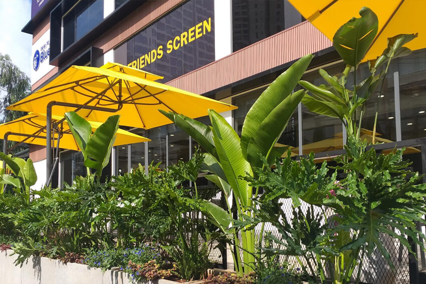 Thiết kế cảnh quan - Botanica Landscaping sẽ tạo ra kết quả phù hợp với phong cách của bạn